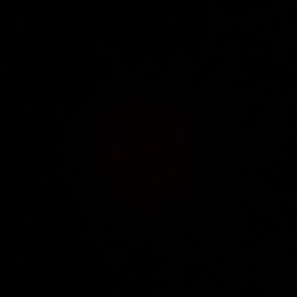 Meet your Posher, Posh - Picture 2 of 2